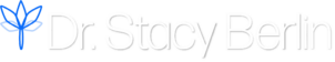 logo dsb 2 white